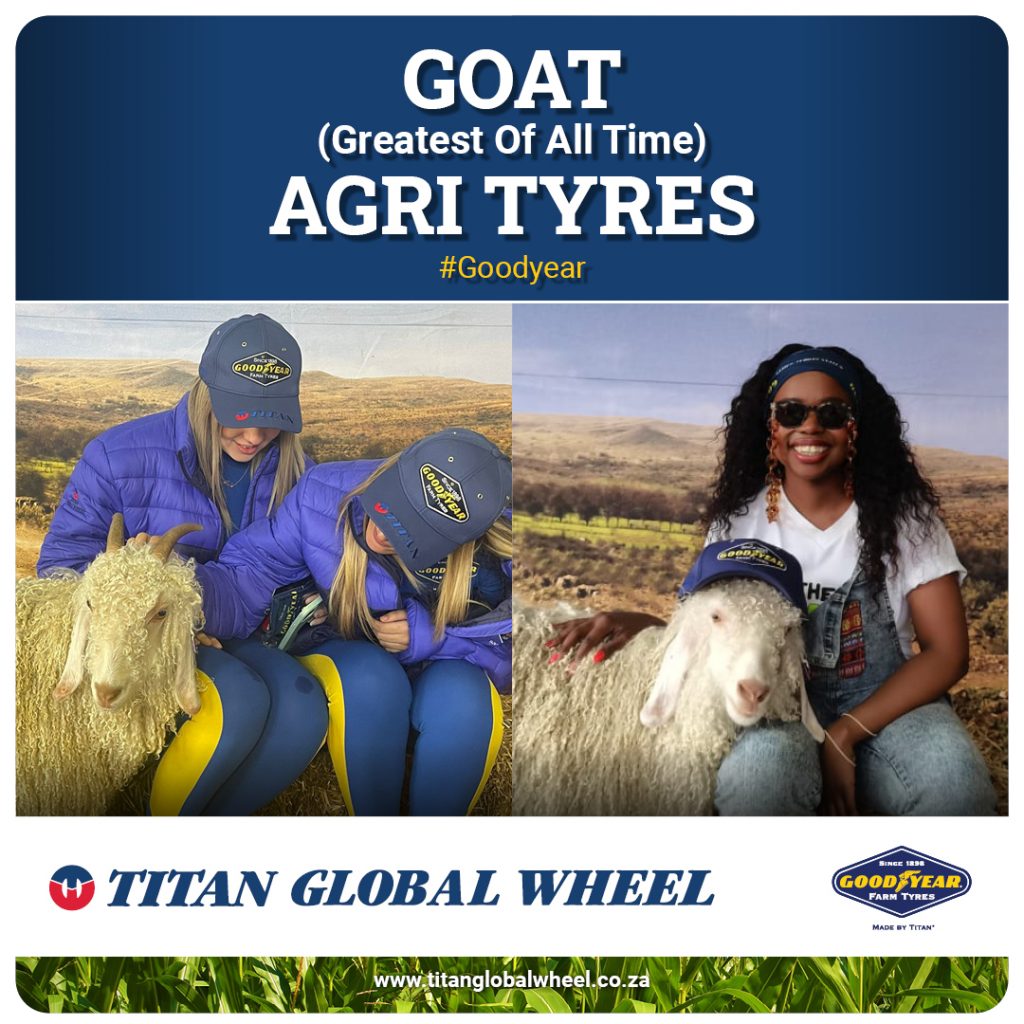 titan global wheel team wheely